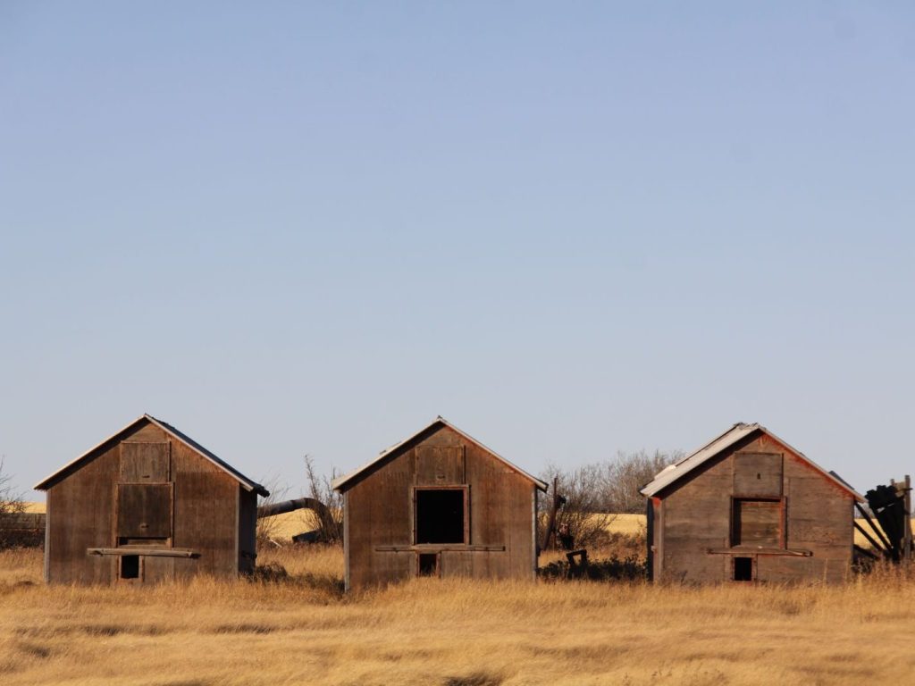 Three wooden barns in the Alberta countryside