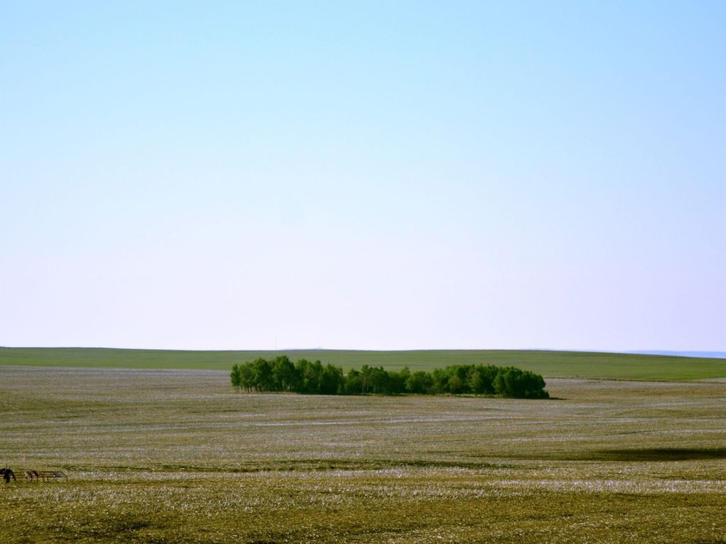 Open fields under a wide blue sky in Alberta
