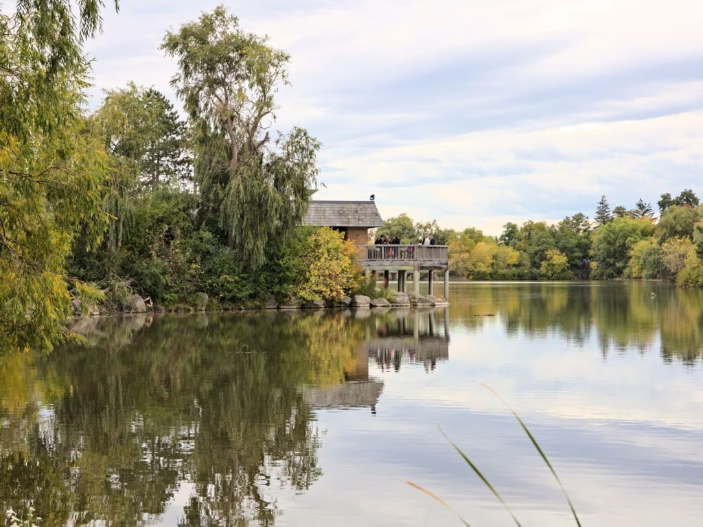Calm lake and trees in a Markham park
