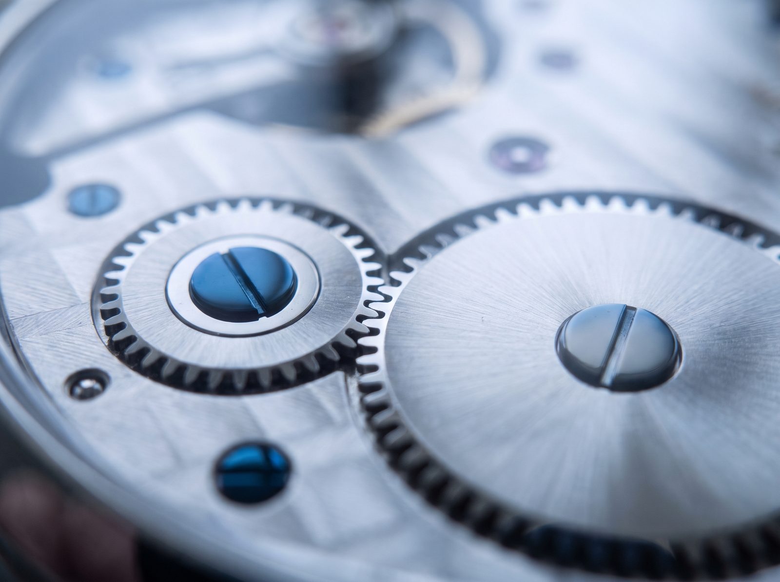Two meshing gears with blued screws inside a silver watch movement.